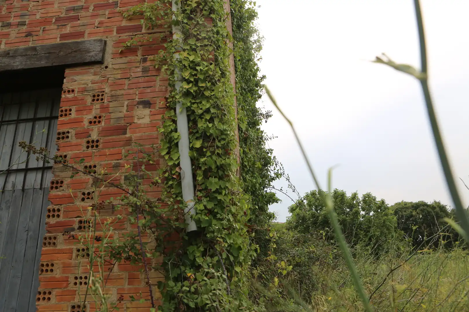 Vista exterior de Finca rústica en venda en Begur amb Jardí privat