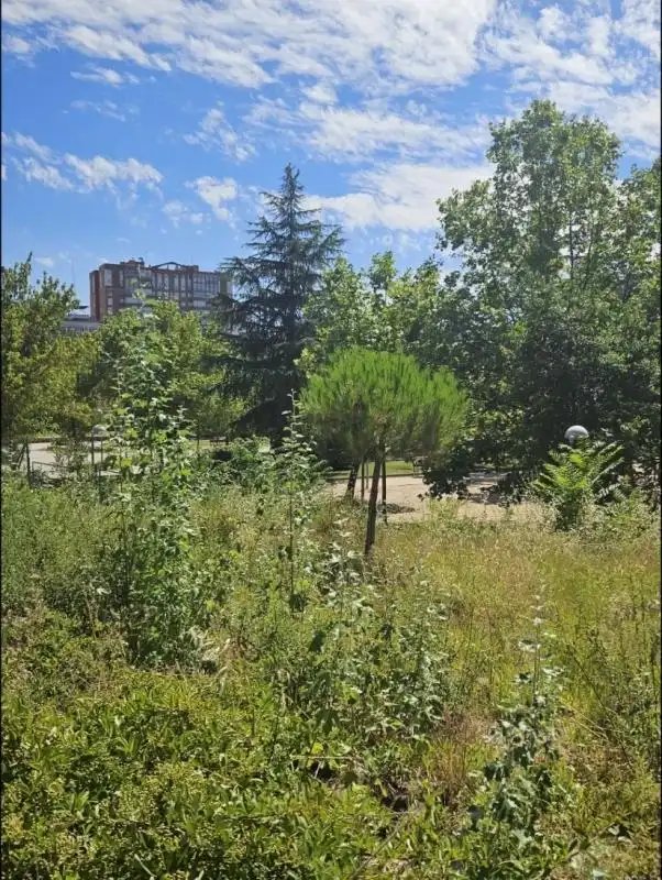 Loft de alquiler en Madrid con Calefacción, Terraza y Balcón