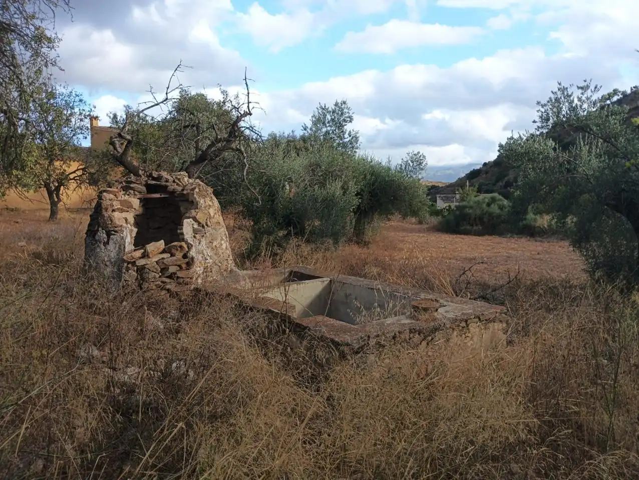 Finca rústica en venda en Bédar amb Jardí privat i Terrassa