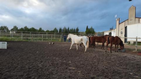 Photo 3 of Country homes for sale in Polígono Industrial Estanquillo, Burguillos, Sevilla