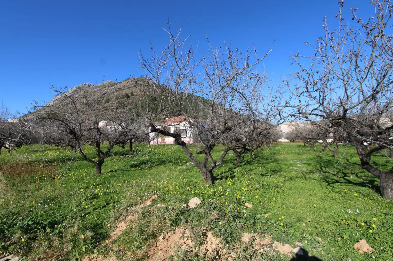 Chalet con jardín en venta en Murla, imagen 15
