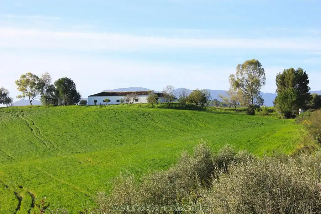 Casa rústica en venda a Algodonales, imagen 3