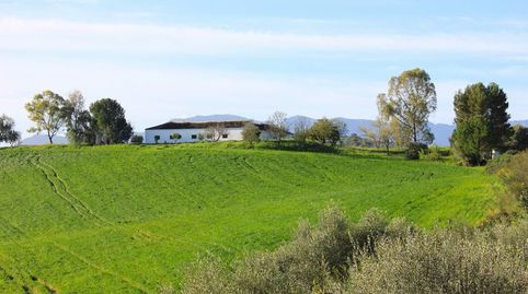 Finca Rúst. en venta en Algodonales, 4 dormitorios., imatge 3