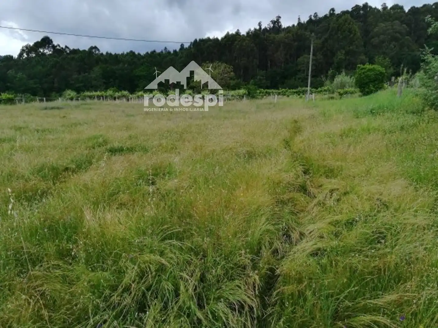 Terreny rústic en venda a Crecente, imagen 6