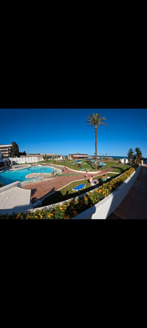 Piscina de Estudio de alquiler en Estepona con Amueblado