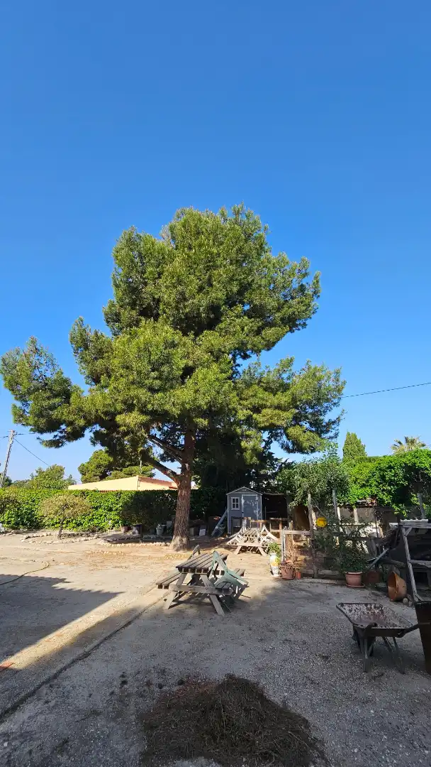 Chalet con terraza en venta en Avenida de los Patos, imagen 19