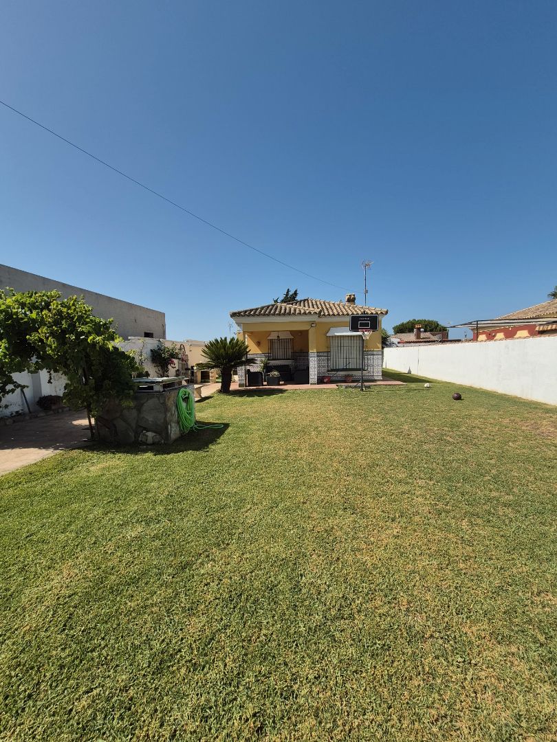 Garden of House or chalet for sale in Chiclana de la Frontera