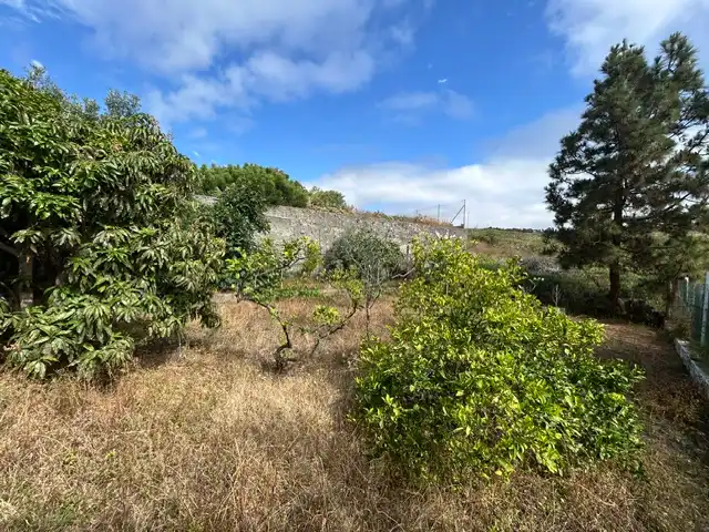 Casa o xalet en venda en Las Palmas de Gran Canaria amb Jardí privat, Terrassa i Traster