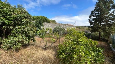Foto 3 de Casa o xalet en venda a Marzagán - Los Hoyos - La Montañeta, Las Palmas de Gran Canaria