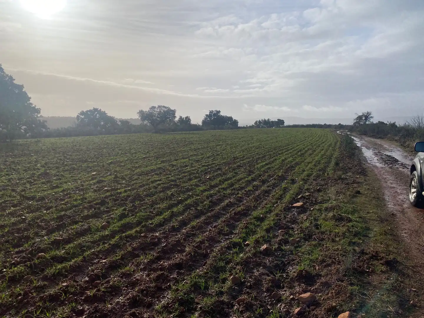Terreno en venta en Anchuras