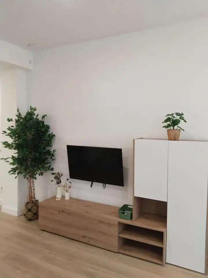 Sala d'estar de Pis de lloguer en Barrio de Salamanca