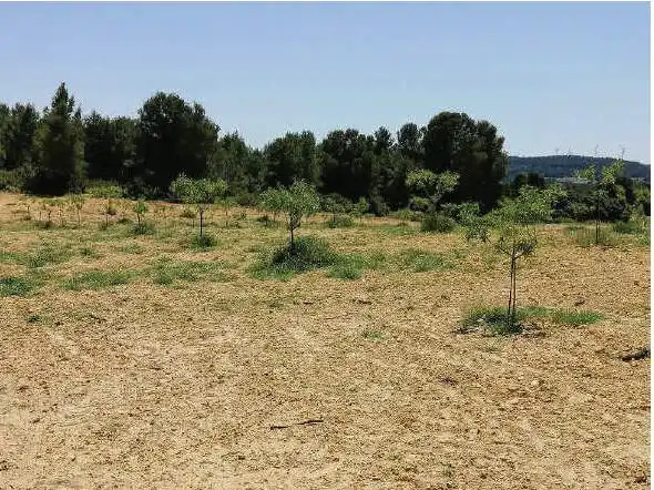 Rustikales Grundstück zum Verkauf in Almansa, imagen 9