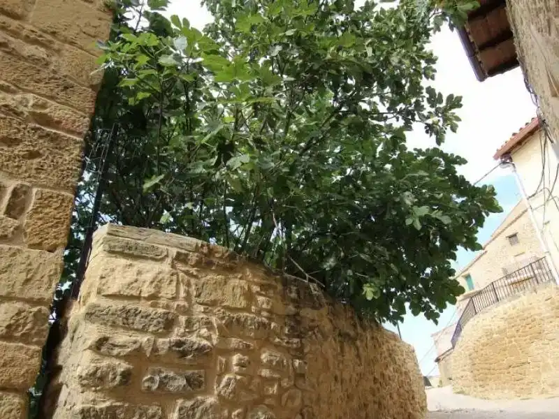 Exterior view of Flat for sale in El Frago  with Air Conditioner, Parquet flooring and Furnished