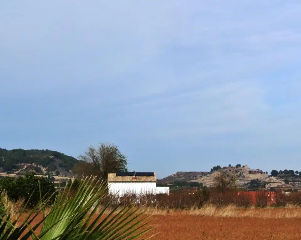 Vista exterior de Casa o chalet en venta en Xàtiva con Aire acondicionado, Jardín privado y Terraza