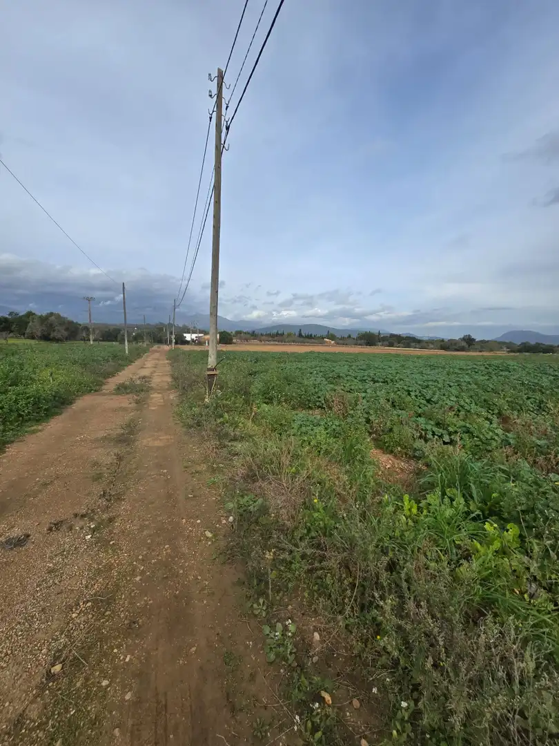 Casa rústica en venda a Búger, imagen 39