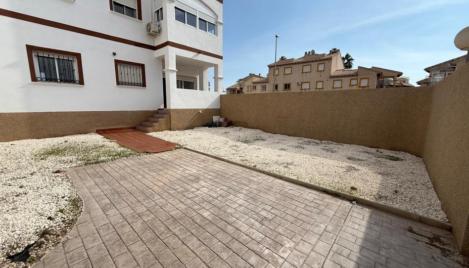 Photo 1 of Apartment to rent in Zeniamar - Horizonte - La Campana, Alicante