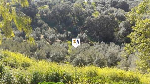 Foto 5 de Finca rústica en venda a Rute, Córdoba