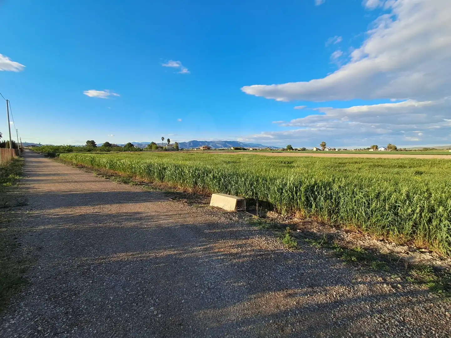 Terrenos y solares en venta en Lorca Ciudad, imagen 9