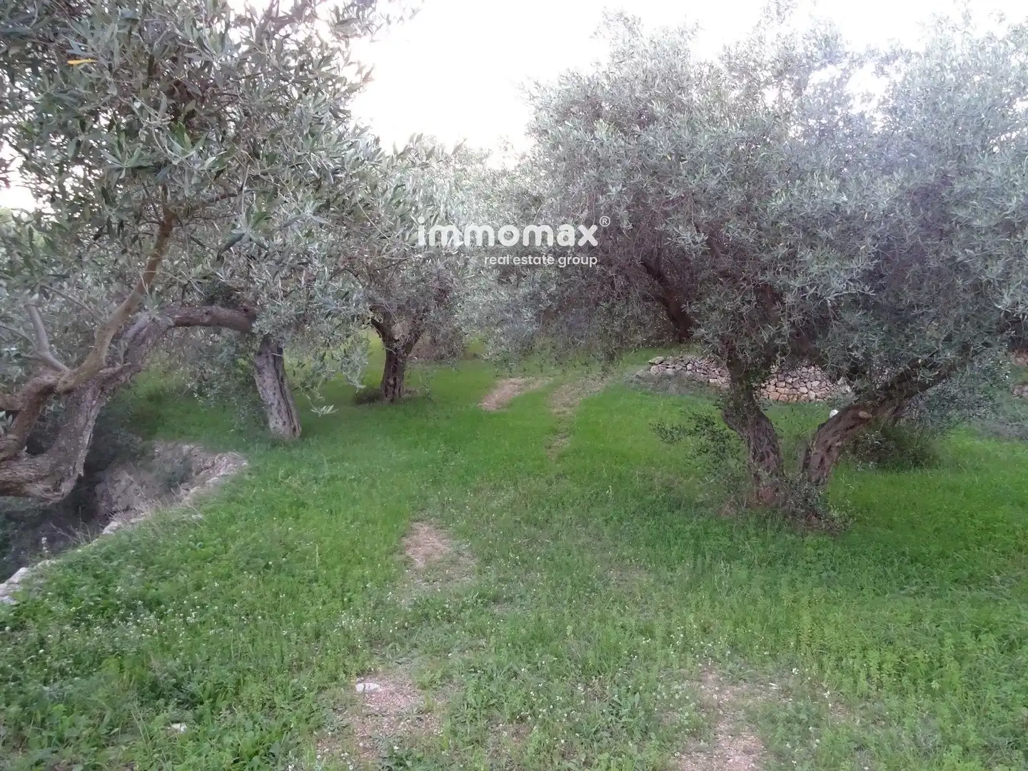 Terrain résidentiel à vendre à 12, imagen 4