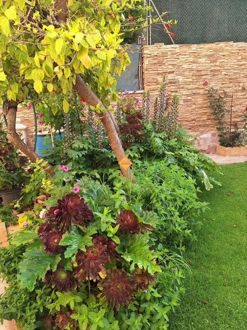 Jardí de Casa o xalet en venda en Paterna amb Aire condicionat, Calefacció i Jardí privat