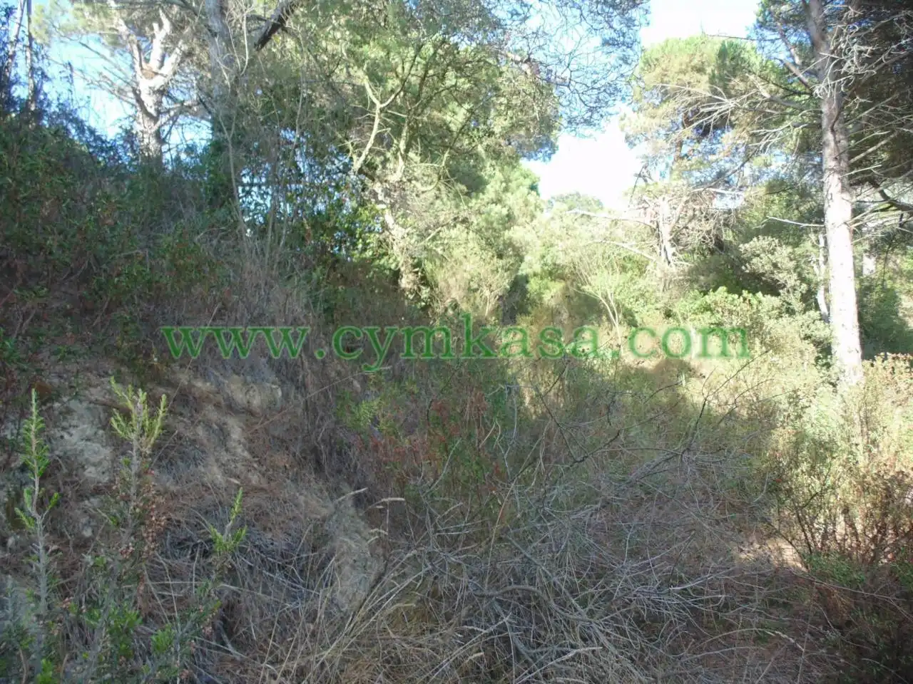 Terreny residencial en venda a Lloret Residencial - Montlloret, imagen 3