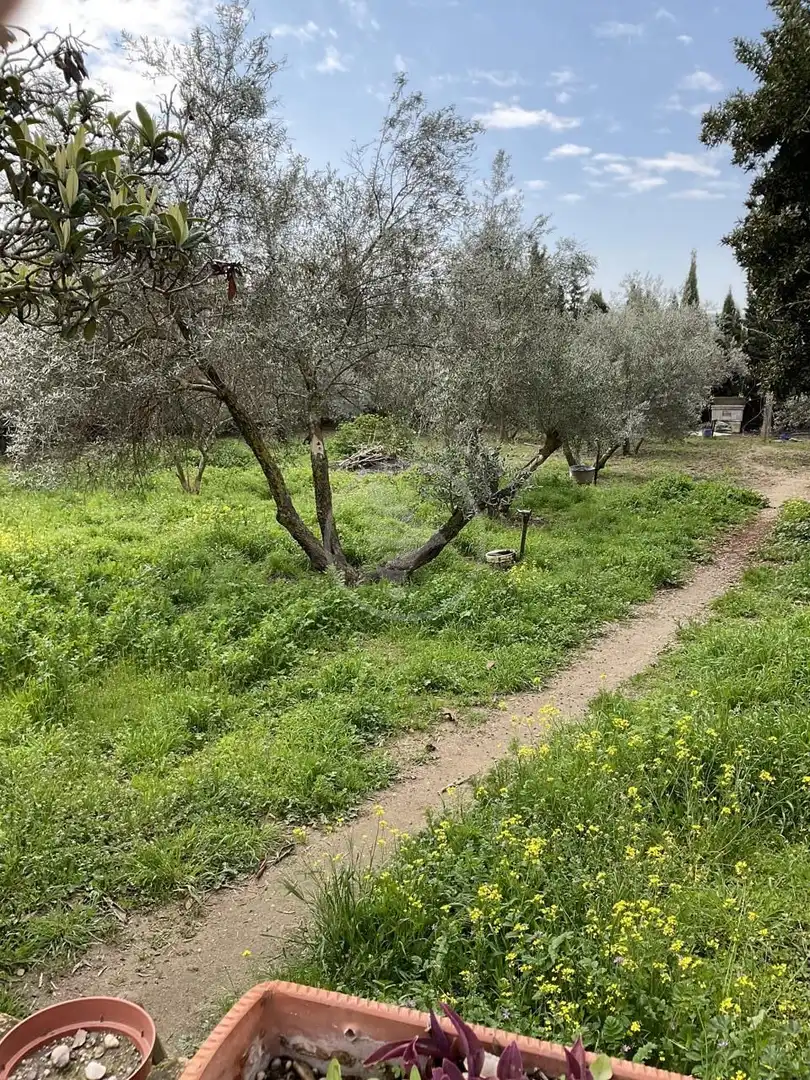 Finca rústica en venta en Linares con Jardín privado y Piscina