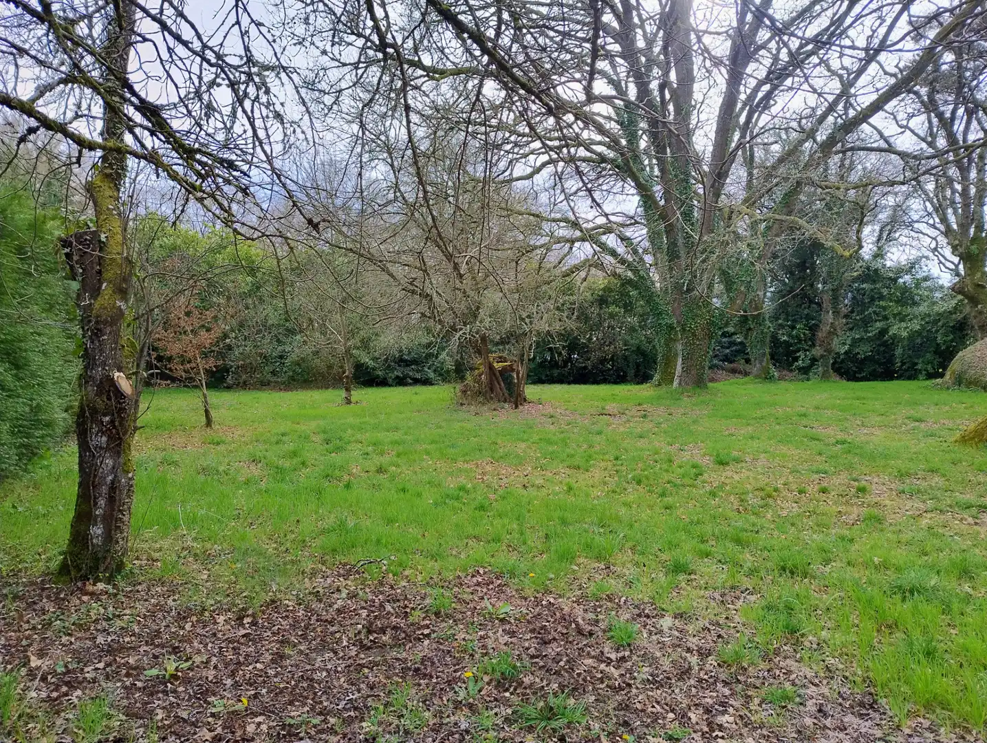 Casa o chalet en venta en Lugo con Amueblado
