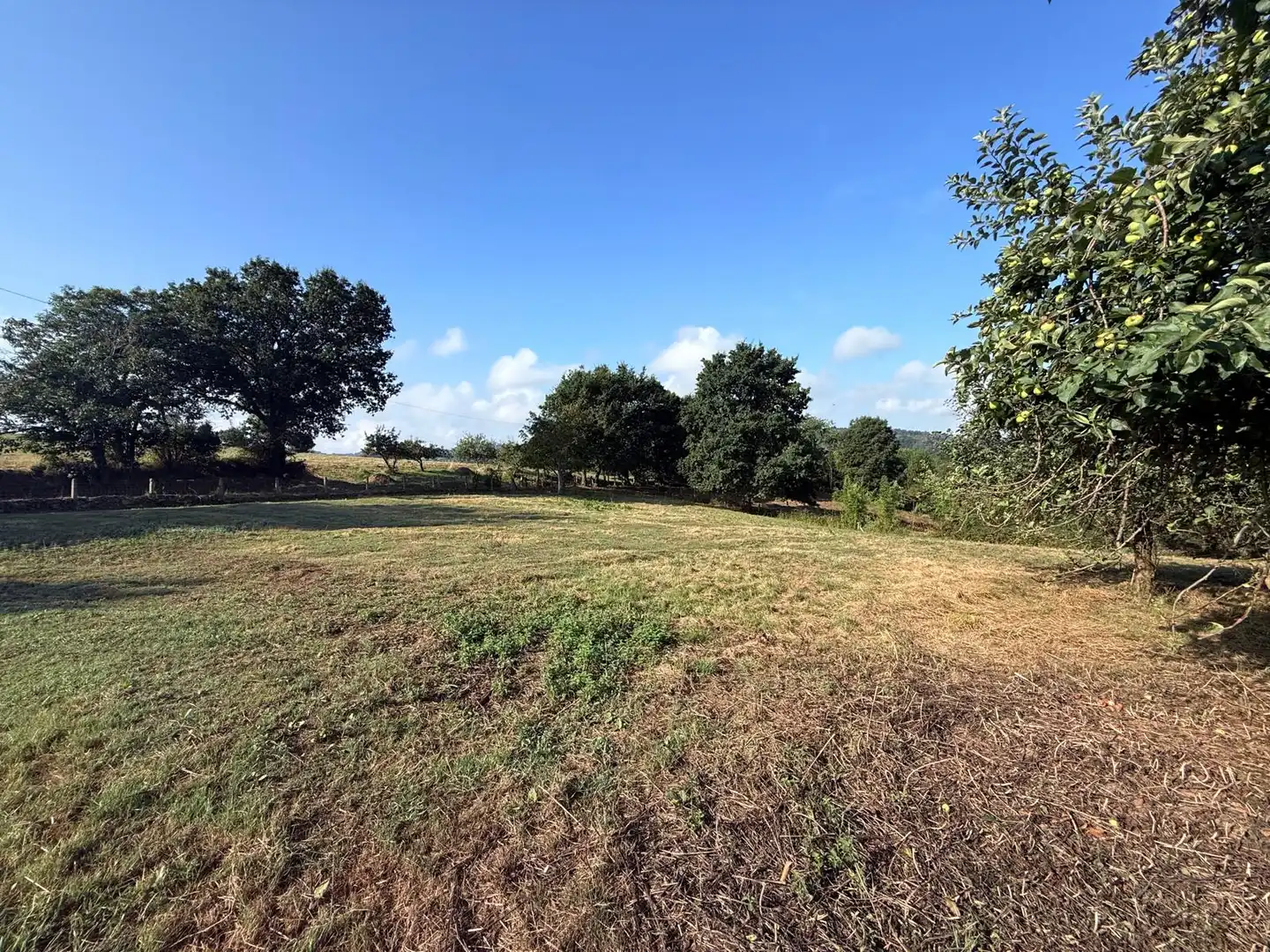 Residential land for sale in Carbayin - Lieres - Valdesoto, imagen 8