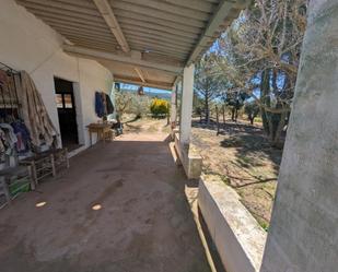Garden of Land for sale in Ulldecona