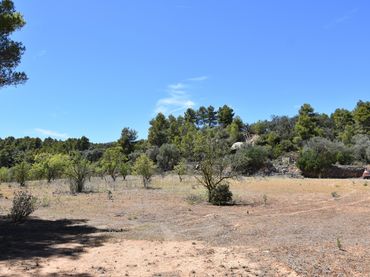Terreno rustico in vendita a Lledó