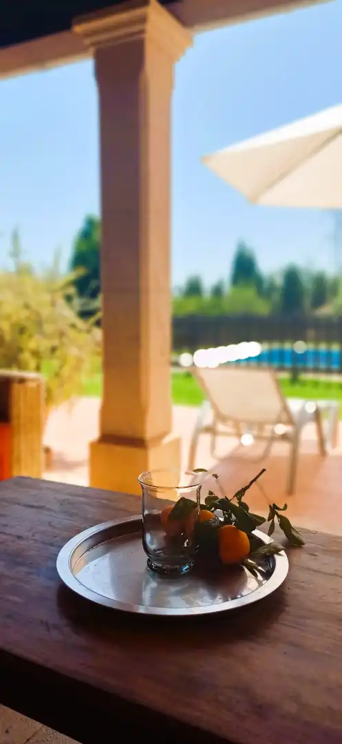Finca rústica de alquiler en Costitx