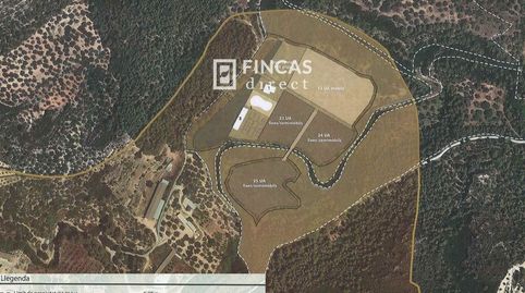 Finca Extensa en Els Ports Masía, Caseta y Proyecto de Camping, imatge 4