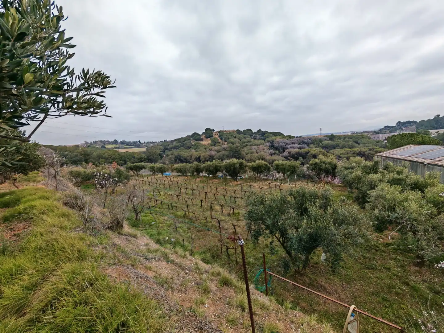 Terreno rustico in vendita a Zona Industrial, imagen 7