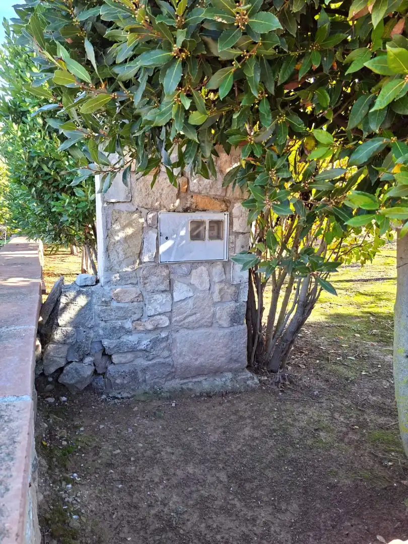 Terreno rústico en venta en Vallbona de Les Monges, imagen 31