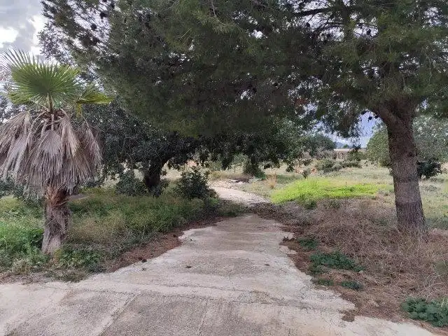 Finca rústica en venta en Cheste