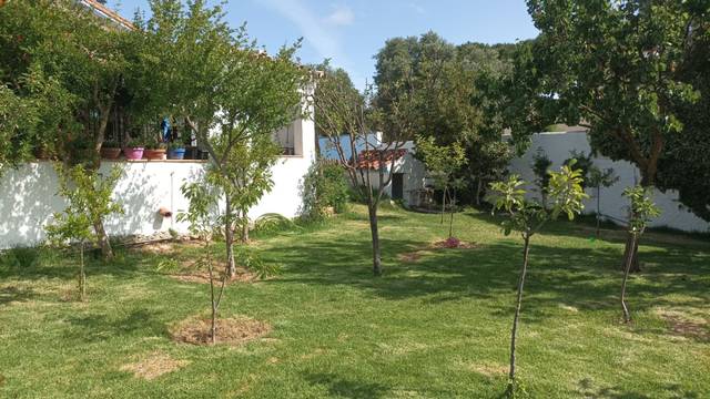 Finca rústica en Venta en Partidas Sur