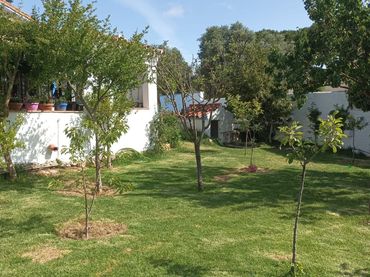 Casa rústica amb piscina en venda a Partidas Sur