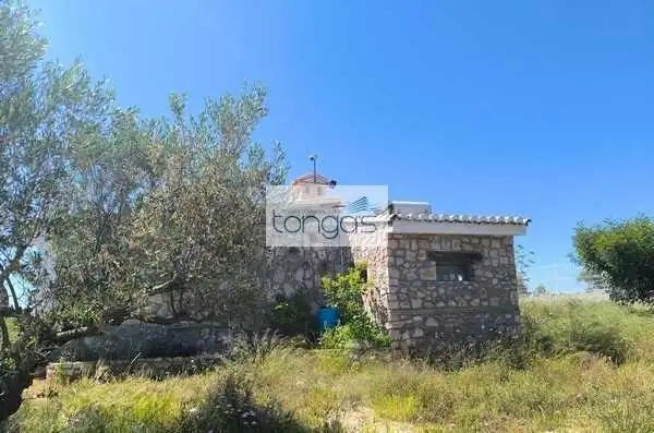 Casa o xalet en venda en Chella amb Jardí privat