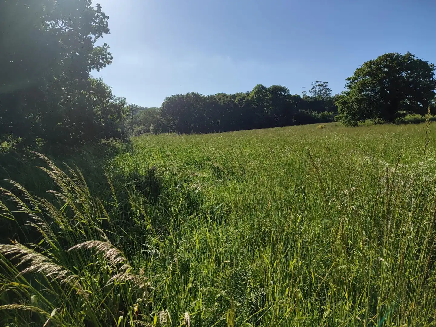 Residential land for sale in Parroquias de Santiago, imagen 3