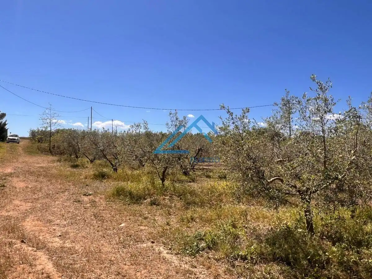 Land for sale in Vinyols i els Arcs