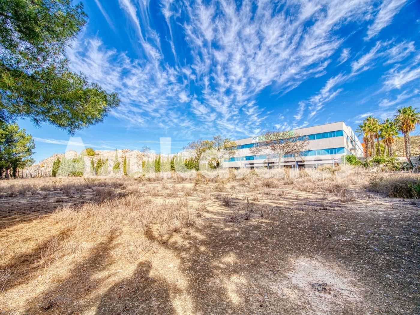 Nave industrial en venta en Elche / Elx