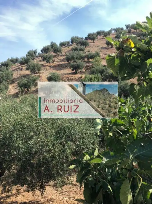 Terreny rústic en venda a Priego de Córdoba, imagen 3