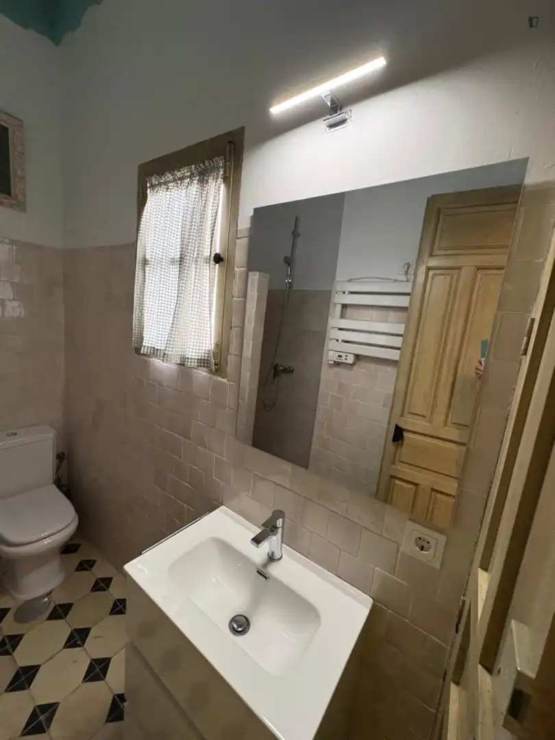 Bany de Apartament per a compartir en Centro