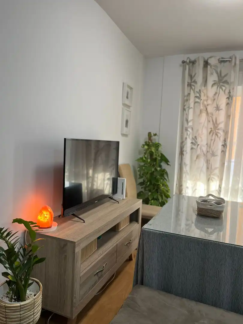 Living room of Flat for rent in Córdoba  with Air Conditioner, Heating and Terrace