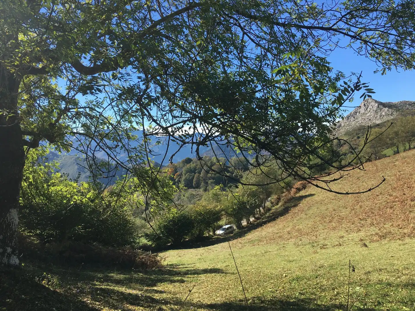Terreno rustico in vendita a Cangas de Onís, imagen 8