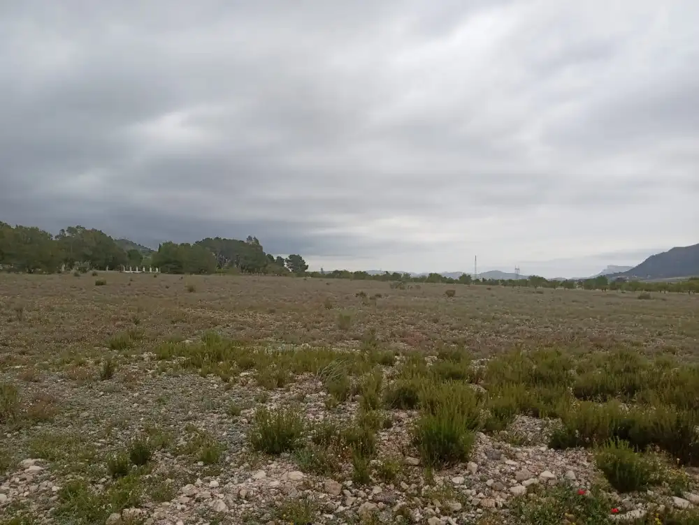 Residential land for sale in Salinas, imagen 4