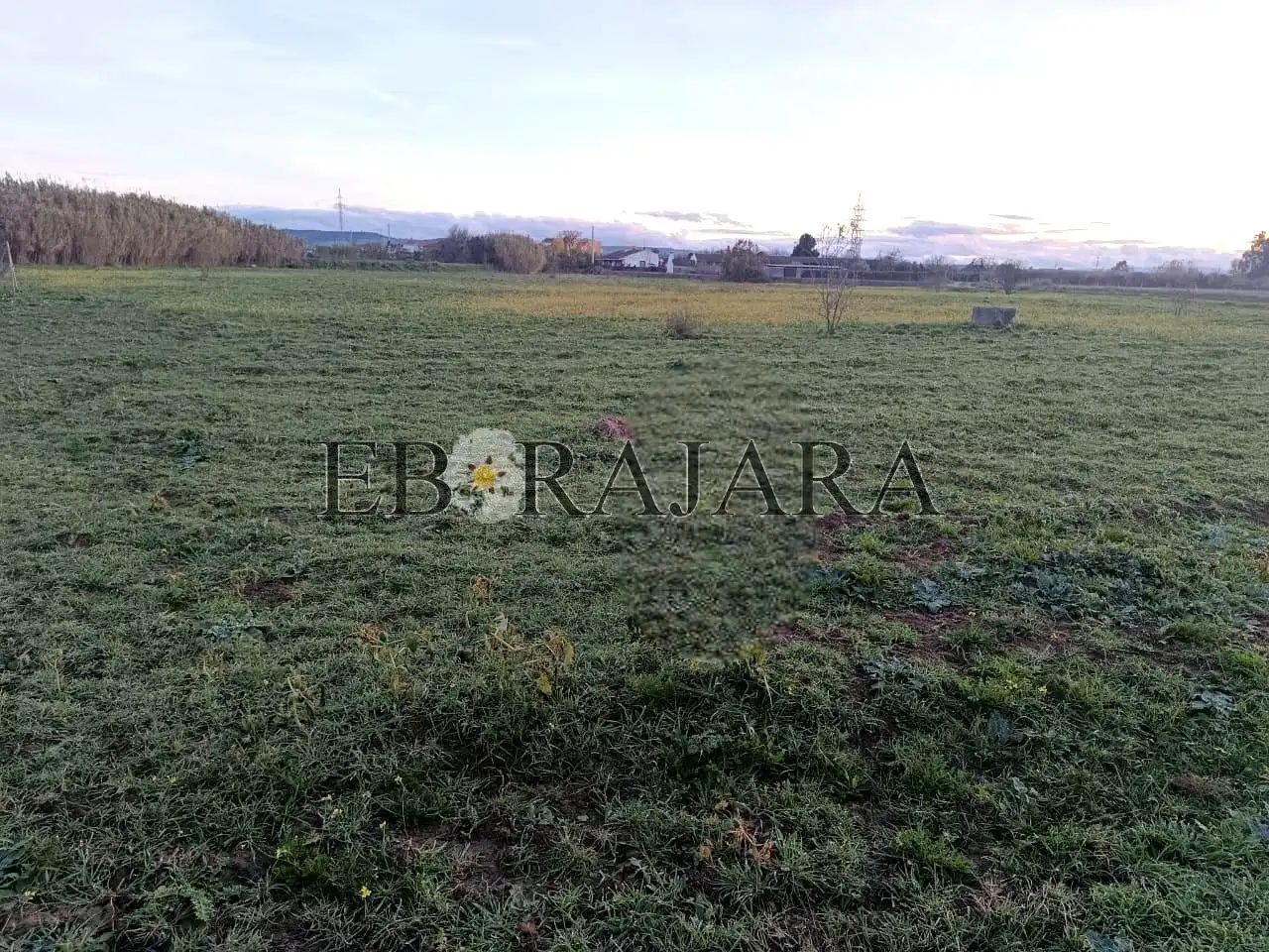 Lands and plots for sale in El Perdigal, imagen 3