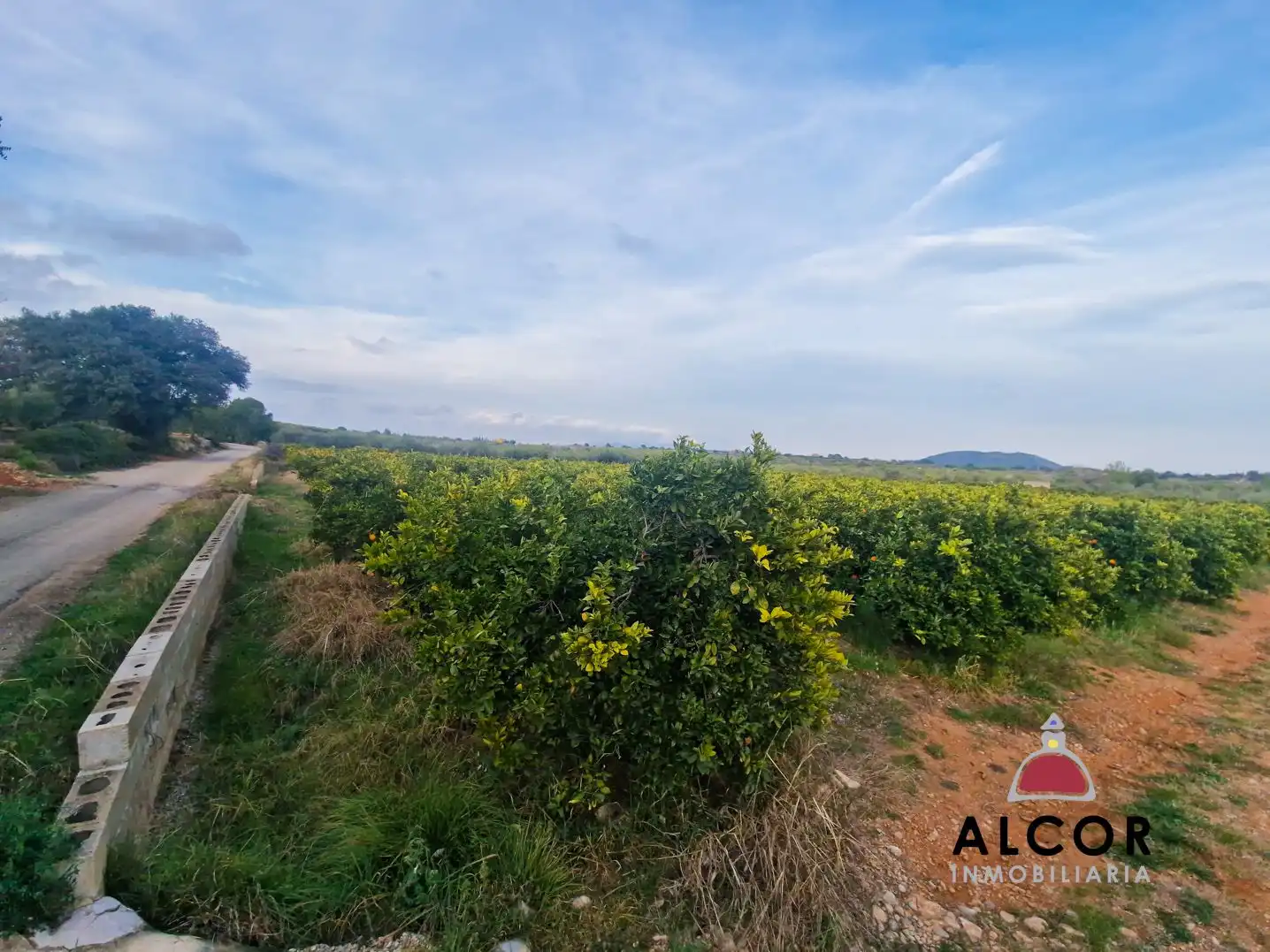 Finca rústica en venda en Càlig