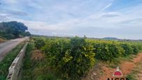 Finca rústica en venda en Càlig