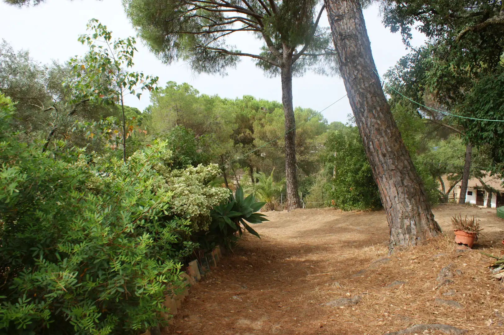 Chalet con jardín en venta en Valverde del Camino, imagen 19